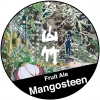 Мангостин