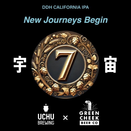 Нью Джёрниз Бегин