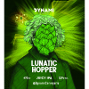 Лунатик Хоппер