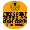 Чекпоинт #5 - ДДХ ДИПА Ситра Мозаик