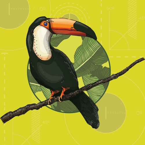 Коконут Лайм Саур