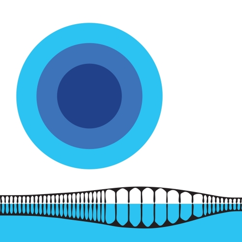 Биггис Блюберри Бранч Бонанза