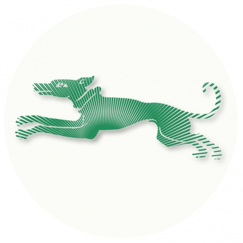 Дамме Нейшн