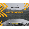 Калифорния Коммон