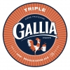 Галлия Триппель