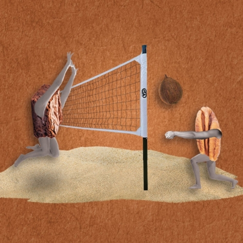 Брауни Пойнтс