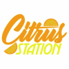 Цитрус Стэйшн ИПА