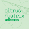 Цитрус Хистрикс