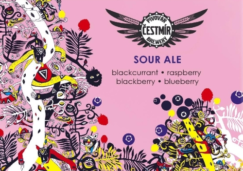 Кислый Эль – Черная Смородина, Малина, Ежевика, Черника