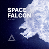 Спейс Фалкон