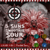 5 Санс Смузи Соур Вариант 3