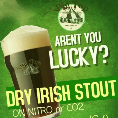 Драй Айриш Стаут