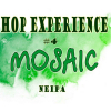 Хоп Экспериенс #4: Мозаик