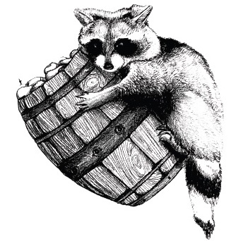 Аппле Оутлав Кидер