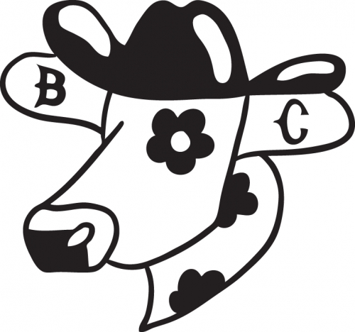 Балком Канён Сидр