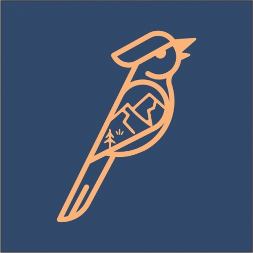 Керведжа Серра Кариока