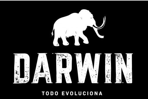 Дарвин Кервеза Артесанал