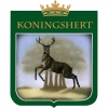 Конингшерт