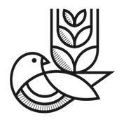 Гоод Сингс Бревинг Ко