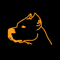 Керведжариа ДжинБир