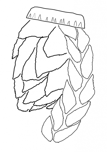 Келдлинг Брев