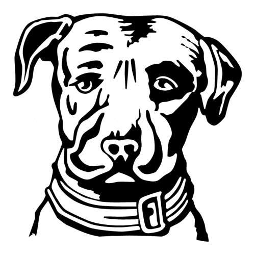 Лагунитас Бревинг Компани