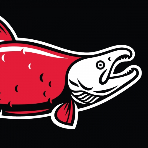 Соккеие Бревинг