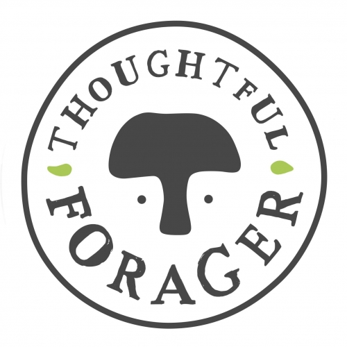 Соугхтфул Форагер