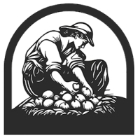 Вергерс ПОПИХН