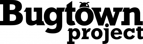 Бугтовн Проджект