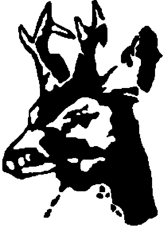 Броуверидж Бувенс