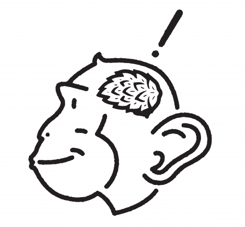 Чееки Монкеи Бревинг Ко