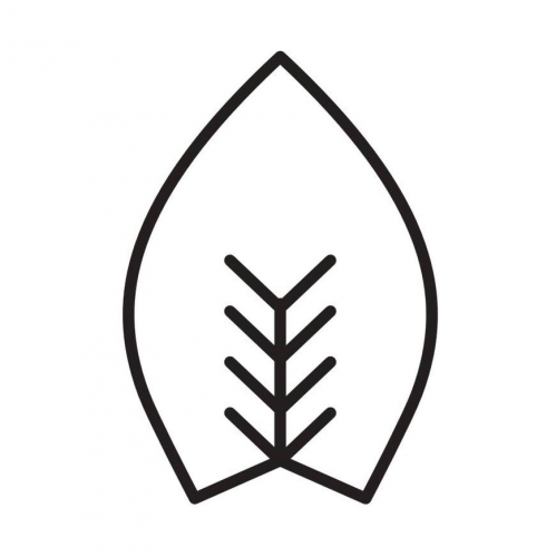 ФУЕРСТ ВИАКЕК Берлин