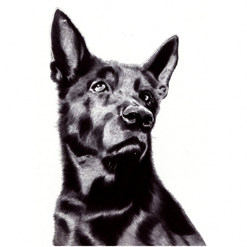 Хера Кидер Бревери