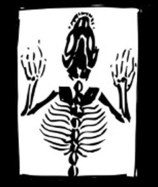 Инвасиве Спекиес Бревинг