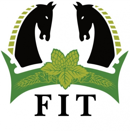 Пивника ФИТ